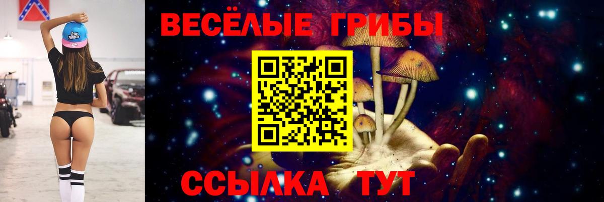 Ангарск  Псилоцибиновые грибы MAGIC MUSHROOMS  Вход с VPN 